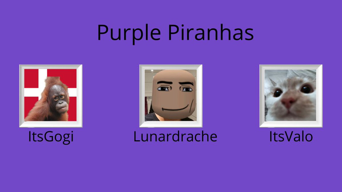 Announcing the Purple Piranhas! ItsGogi Lunardrache ItsValo