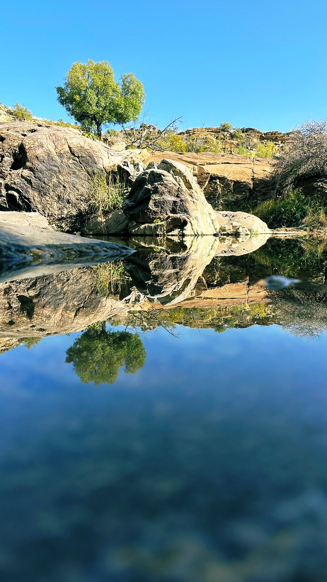 اليوم الإثنين  ٢ / ١٠ / ١٤٤٦
#السعودية
#عسير
#تنومة
إنها لؤلؤة الجمال الطبيعي .
#هايكنج
تنومة أرض الجمال.
وعاشق الطبيعة - ابن مسفر ينقل لك كنوز تنومة الطبيعية والتي لا يصلها الإنسان إلا مشيًا على الأقدام .
طبيعة بكر .
مباشر على السناب
ABD-M23
تابع واستمتع . سيكون يومك سعيدًا معي.