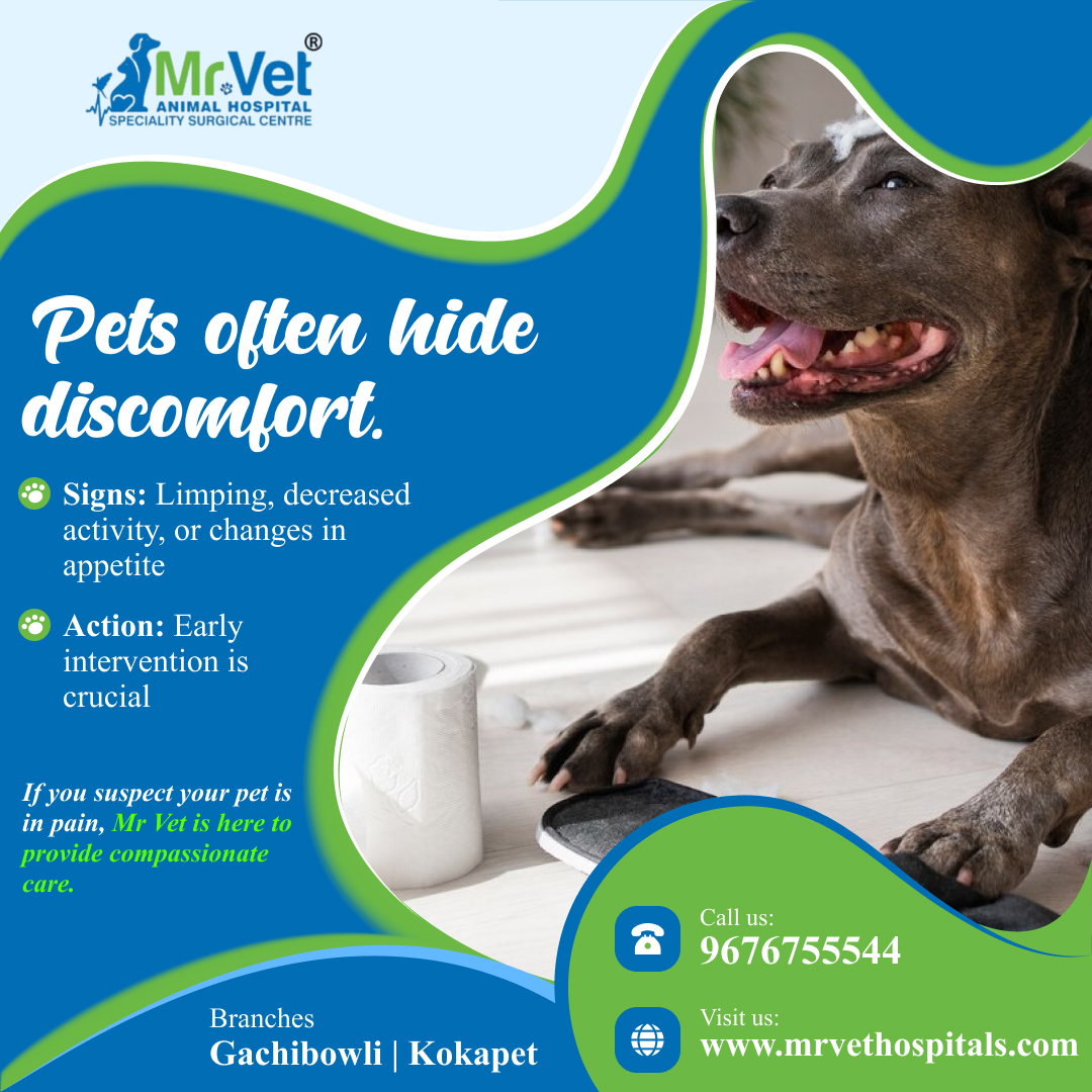 mrvethospital's tweet photo. Pets often hide discomfort.

Book your consultation today!
Call 📞 96767 55544  or visit us. https://t.co/xnBVkovp53
#petcare #PetCareServices #petcaretips #petcareservices #petcareprofessionals #petcareprovider #veterinary #VeterinaryCare #veterinaryclinic https://t.co/qH88m2dfKK