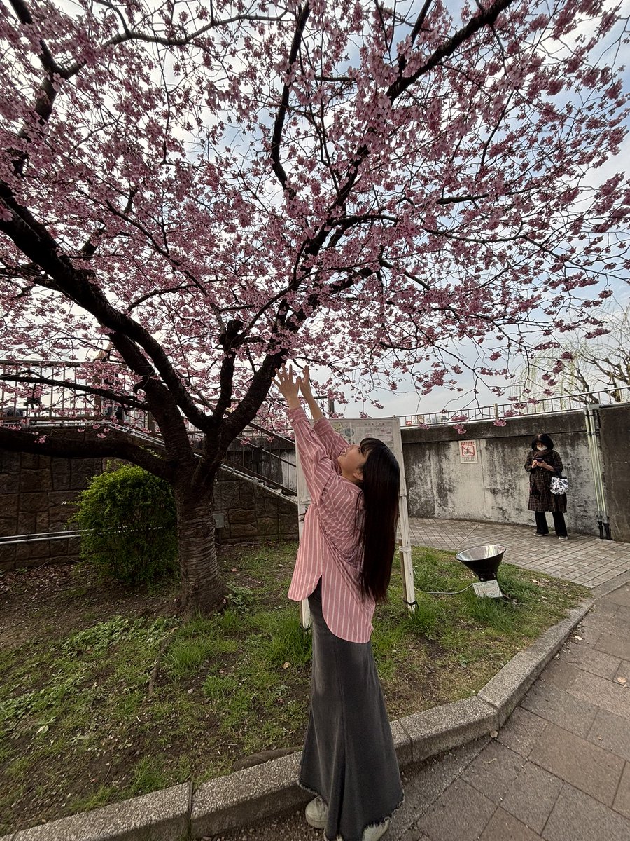 やりたいことをのんびりまったりこなしてリフレッシュできた春休みでした🌸大半は様々な締切に追われておりましたが✋💦
今年はいくつもの｢最後の○○｣を抱えることになりますが、同時に初めての挑戦もいくつか😳勉強しなきゃいけないこと山積みです❕あと1年の学舎もフル活用いたします。