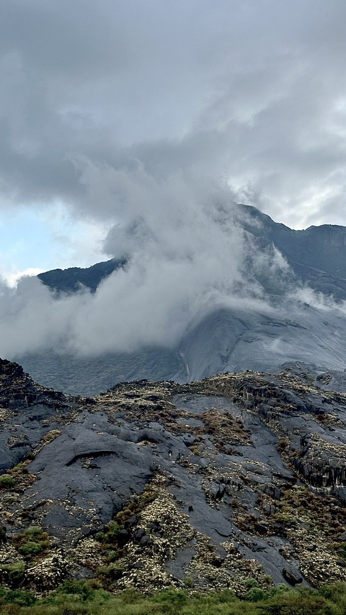 F9But's tweet image. 