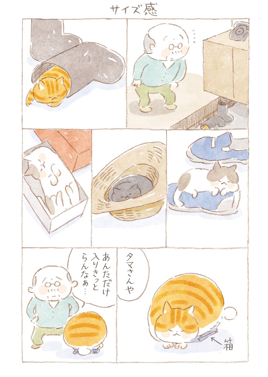 ひとりと一匹、そして島の人々が繰り広げる、毎日がいとおしくなる四季折々の彩りをお届けします。
             
『ねことじいちゃん+番外編』      
 ねこまき(ミューズワーク)
@nekomaki_danna
@nyanta_mikan

番外編103話 サイズ感 