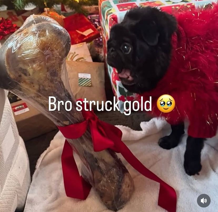 hourly_shitpost's tweet image. 