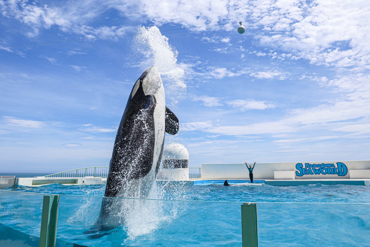 本日で2024年度の営業が終了しました。 いいね！やコメントなど、SNS