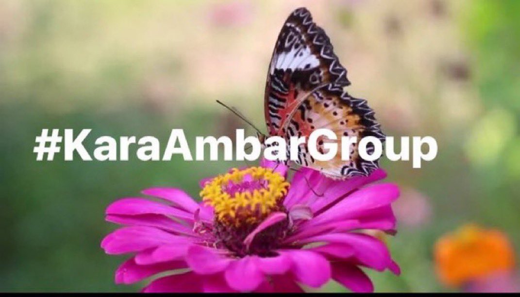 #EliFriends
#KaraAmbargroup

<a href="/Da__Eliz/">Eli👸</a>👑 <a href="/sinan525/">ayhan sevinç</a>
@MeryemSu28
<a href="/ElesitaDuran/">Elesita Duran 💞</a>
<a href="/RobertPage68/">#EliFriends 👉Robert👈</a>
<a href="/florchicana/">Selene  𝕏🖤Perfectly imperfect 🖤❌DM❌</a>
<a href="/MarcelaErcia/">🕉MARCE🐉⚖ #MarceTeAyuda🔮#MarceLive🔄 Meme y Popi</a>
<a href="/uenlue4/">uenlue</a>
<a href="/goldisez/">Goldi 🌺</a>
<a href="/S2_CarlaS2/">꧁༺Carla༻꧂#EliFriends━★✼☆</a>
<a href="/aliglds/">aliglds</a>
<a href="/kamil_gk/">kamil ali gök</a>
<a href="/_MaryEly_/">💛 𑜞᭄ MaryEly🌻</a>
<a href="/Sude0028/">✿Naz ♥‿♥✿</a>
<a href="/x4Eileen/">Eileen Bridget🌸</a>
<a href="/XEpifania3/">Sophie</a>
<a href="/Firefly13X/">QueenLG</a>
<a href="/Zeno_Mello/">🇧🇷Zeno_Mello🇧🇷</a>
<a href="/JennyDazze/">𝒥ℯ𝓃𝓃𝓎࿐🦋</a>
<a href="/GRAHAM15583/">🅶🆁🅰🅷🅰🅼</a> 
<a href="/MarceTeAyuda/">🕉MARCE #MarceTeAyuda🔮#MarceLive🔄♥#AmigosDeMarce</a>