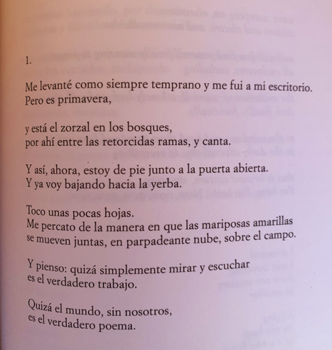 Gabrielaespiral's tweet photo. 🖊️ Mary Oliver, "Devociones. Poesía reunida.", Lumen.

🌿🦋 ¡Buen lunes! https://t.co/PJ2VpVtUpU