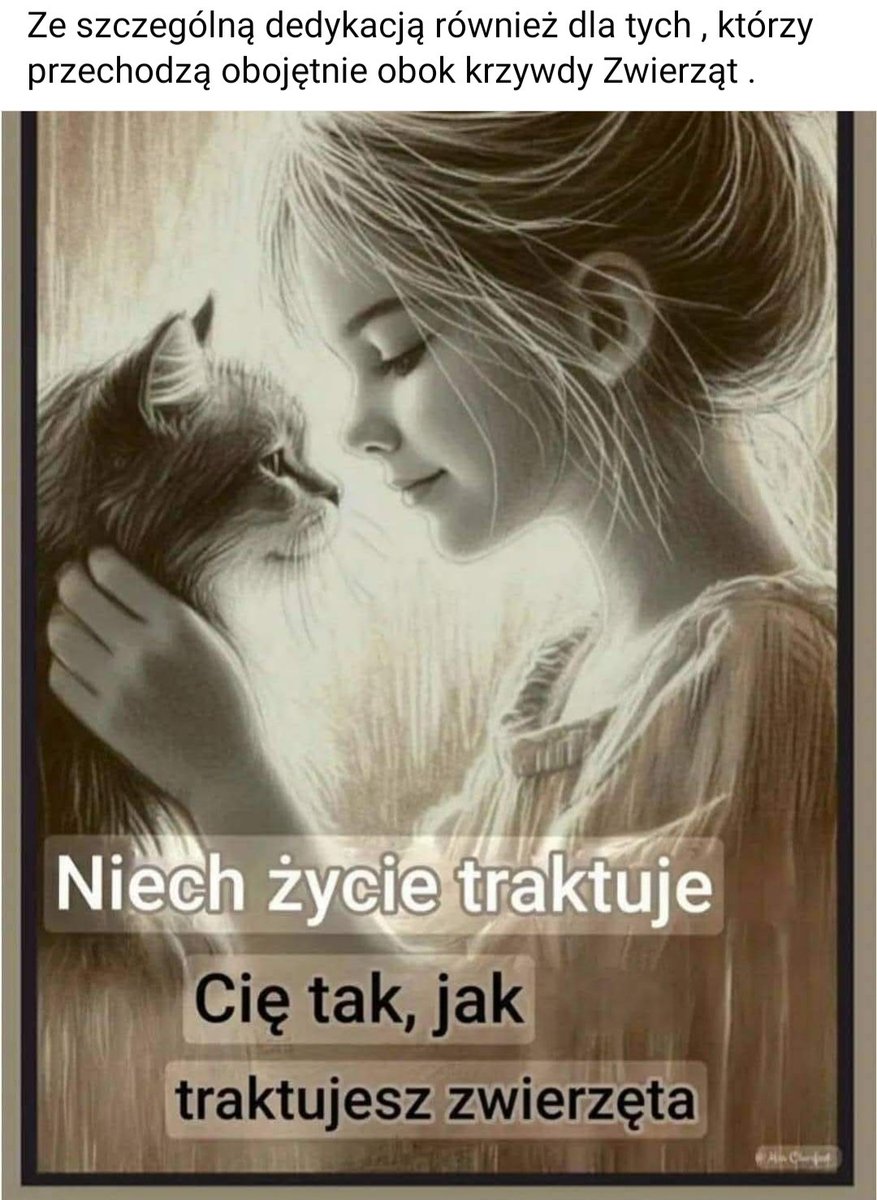 AnnaSernawit's tweet photo. Dzień dobry ❗Dobrego dnia dla wszystkich Zwierzolubów 🩵🫶🏼🐾🍀 https://t.co/AAUUaKlUZ3