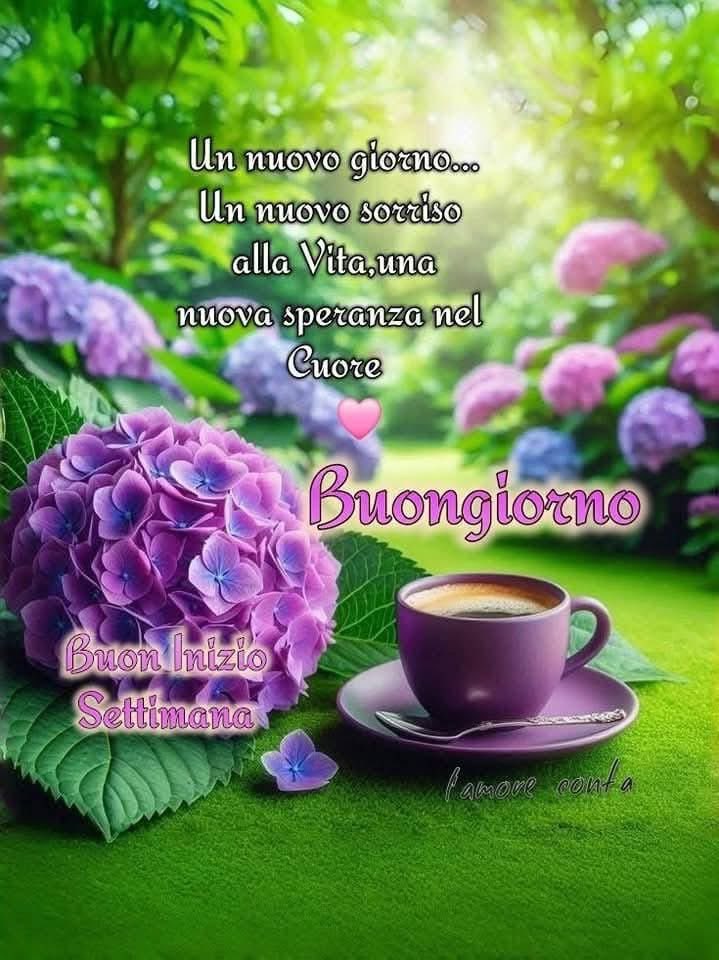 RITABIANCHi56 tweet media