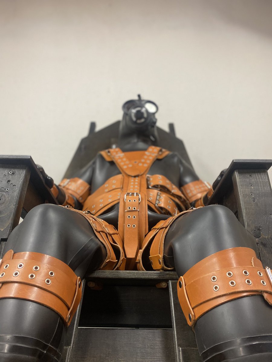 Sit back and relax. This is now your new norm, for my personal amusement 🤭