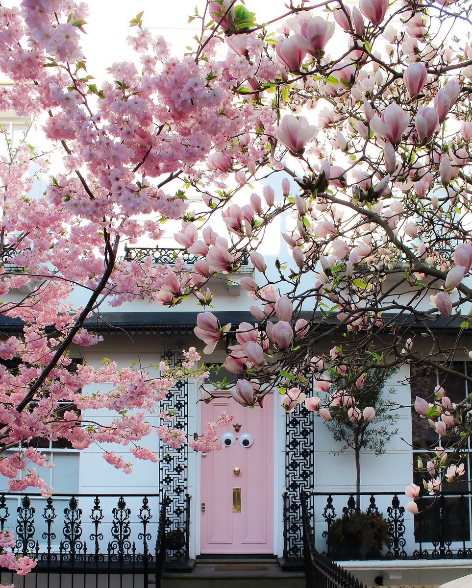 londonpopbox's tweet image. 💕💕🇬🇧Knock, knock! 🇬🇧💕💕
Thank you @luke_through_my_lens 🌸🌺 THE CUTEST PINK DOOR WITH THE MOST BEAUTIFUL MAGNOLIA AND BLOSSOM PAIRING IS BACK! p.s. This is definitely me if I was a door during Spring … 🌺🌸

#springinlondon #springishere #springtime #I