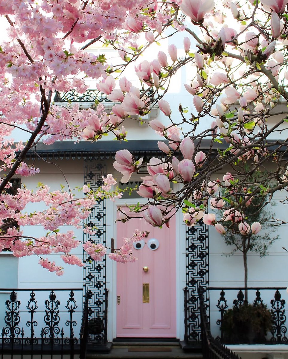 londonpopbox's tweet image. 💕💕🇬🇧Knock, knock! 🇬🇧💕💕
Thank you @luke_through_my_lens 🌸🌺 THE CUTEST PINK DOOR WITH THE MOST BEAUTIFUL MAGNOLIA AND BLOSSOM PAIRING IS BACK! p.s. This is definitely me if I was a door during Spring … 🌺🌸

#springinlondon #springishere #springtime #I