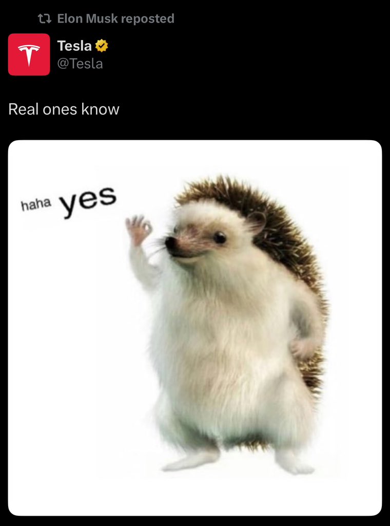 hahayes's tweet photo. Real ones know, and Elon is as real as it gets.

He just reposted haha yes! 👀🦔

https://t.co/9gn4kEjZoJ https://t.co/lUO8gFSPFn