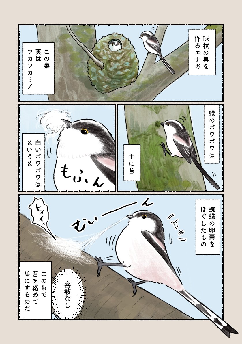 蜘蛛ですがなにか？ 1〜16 - 文学・小説新品 通販, image size:839x1191