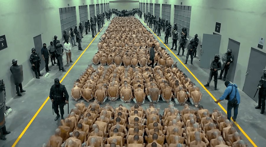 What a lovable goof Elon Musk is! He can be a normal guy and wear a foam Cheesehead like anyone, but he can also send hundreds and hundreds of innocent people to a deadly gulag where they'll spend the rest of their lives in unspeakable agony! A true double-threat, that Elon Musk!