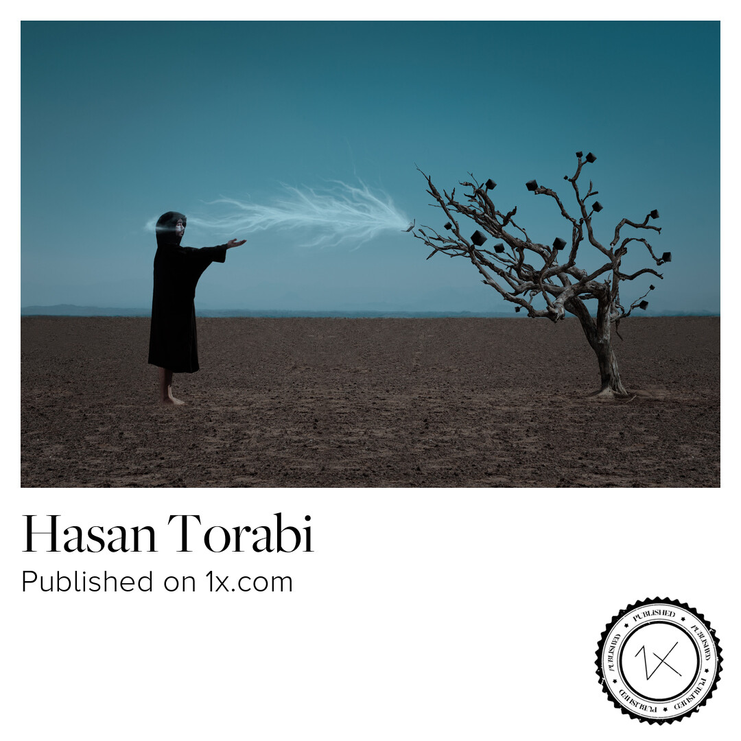 torabiofficial's tweet photo. Published on https://t.co/82www82ODi https://t.co/ei4aUsqbK8