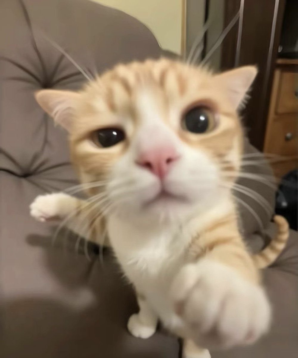 🍼uwu y쭌 우유🐾🏀 tweet media