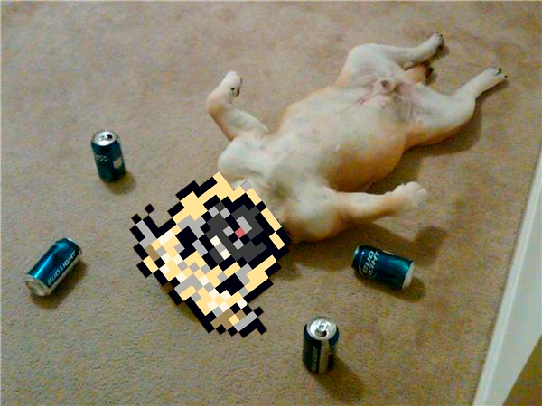 Coping strategy: fully deployed 🍻 #cryptodoggies