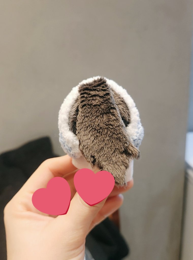snowyuul's tweet photo. 청코리타가 되🌸🌱

#삐약귀환 https://t.co/6F8INeYbr3