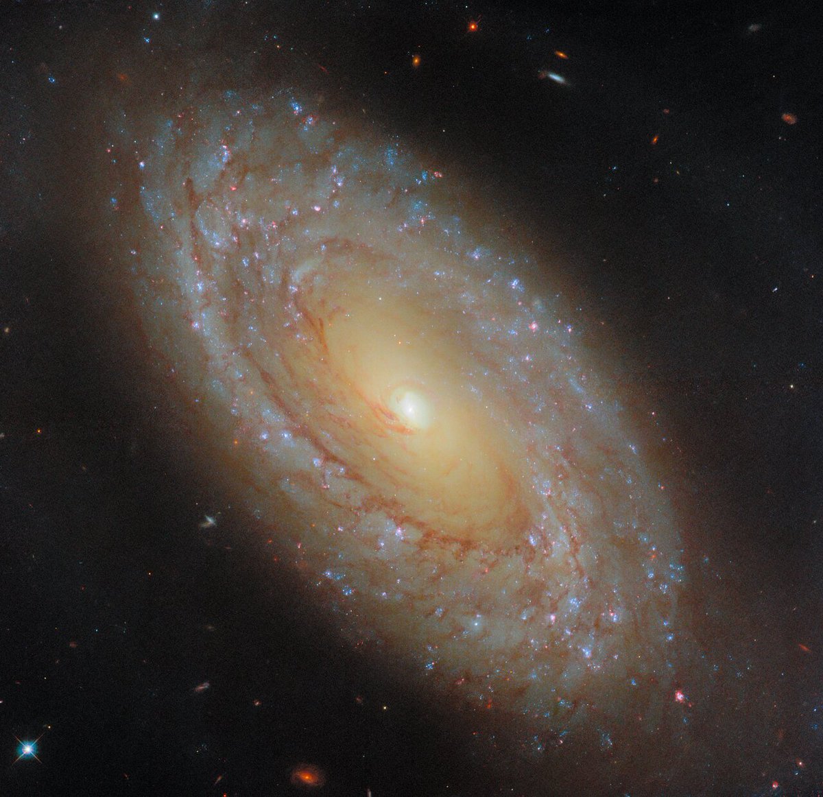 HUBBLE_space's tweet photo. Our ESA/Hubble Picture of the Week features a galaxy that gives great feedback 👏 1/5 https://t.co/RBE7hLfoOS