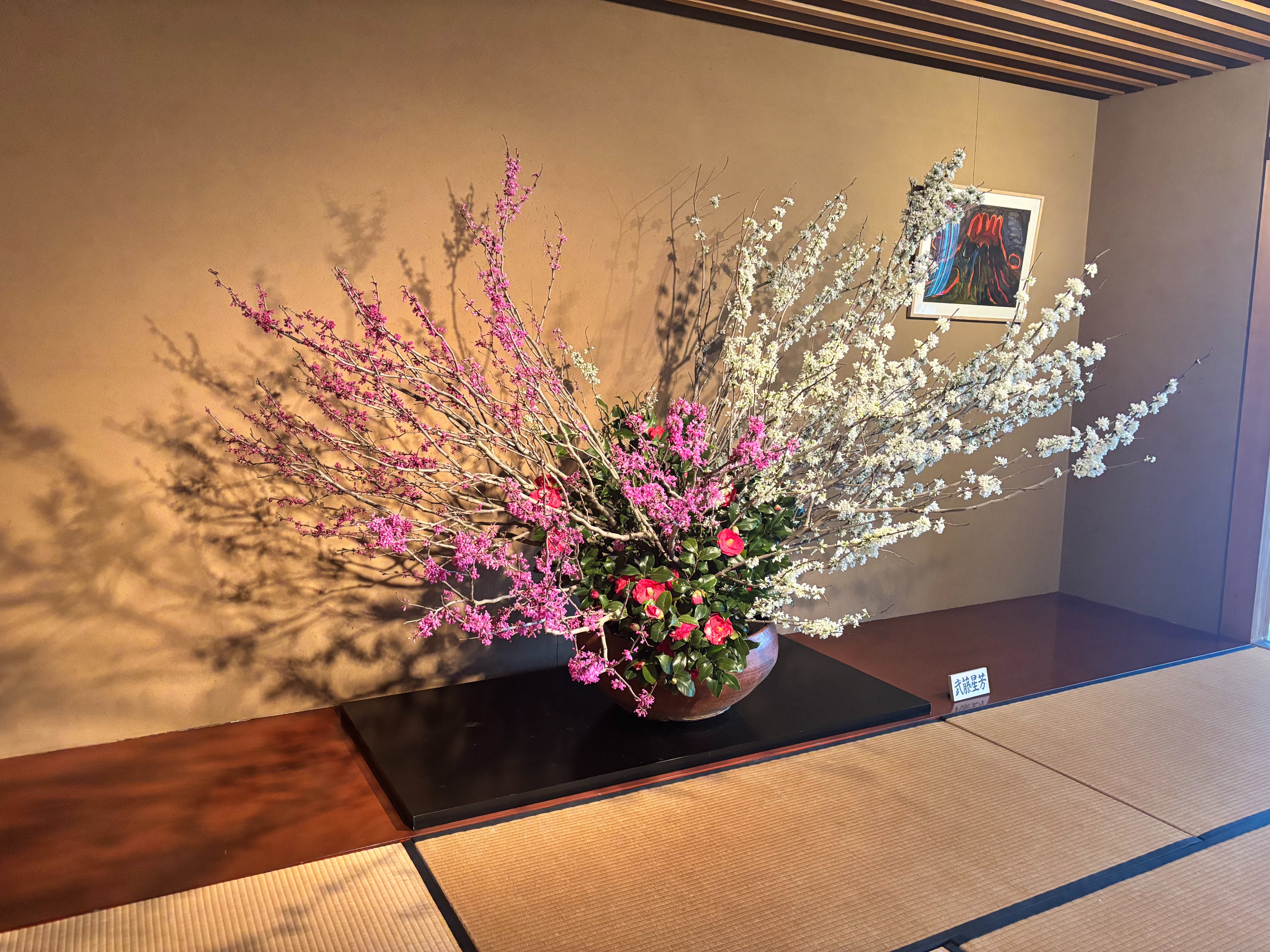 1963年 第42回 春季草月展 勅使河原蒼風 ◇ 勅使河原霞 いけばな