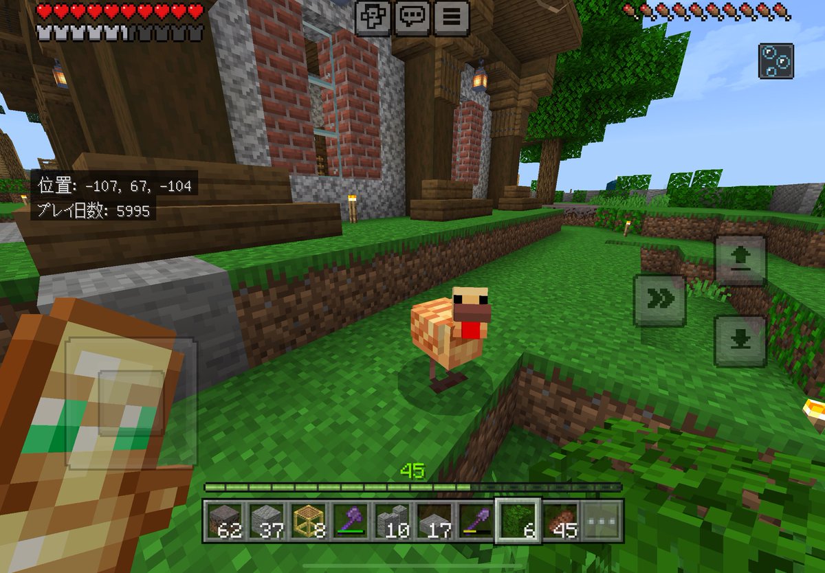 アプデってもうきたんですか！？！？
#マイクラ　#Minecraft
