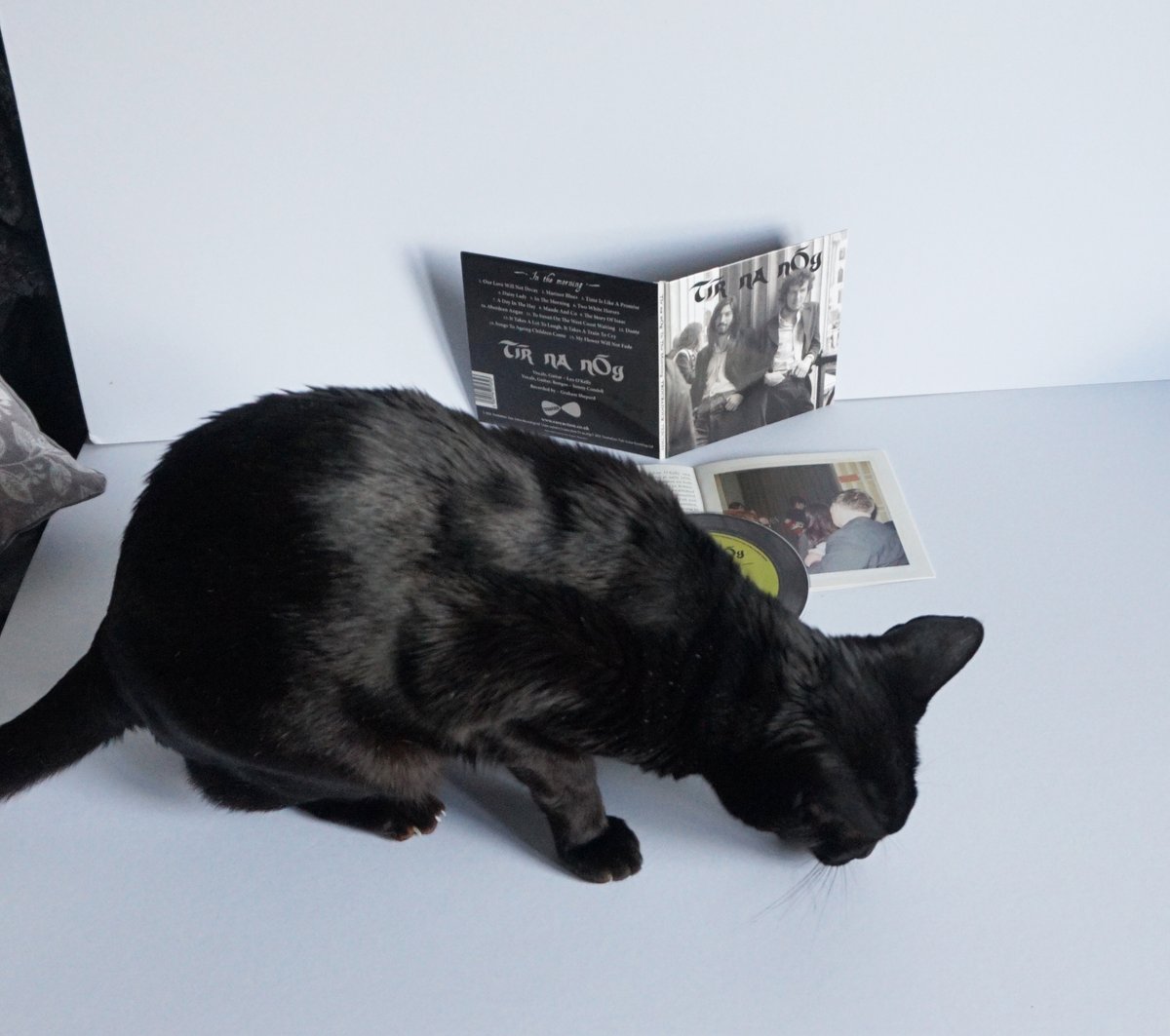 Tir Na NOg CDs I designed finally arrived thought I'd take a pic for the website, as you can see Nico got in on the act