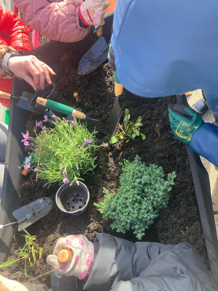 Day 2 of Room 12’s biodiversity workshop! 🌱✨ The children filled the troughs with their plants, designed a water bath, and even created a bee hut 🐝. We’re excited to see some buzzing visitors soon! 🌸🌻#Biodiversity #Room12 #FutureEcoLeaders #NatureInAction