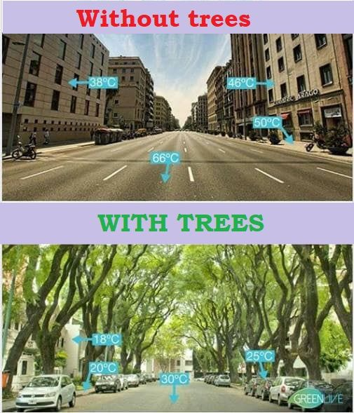 pargaien's tweet photo. GRAY Vs GREEN
If asphalt (gray) is an indicator of having more cars and, of course warm surface, trees (green) are an indicator of having a more healthy and livable environment.
The choice is ours to put more greens over gray.
#green #graydevelopment #trees #urban https://t.co/FpZjg88Y3D