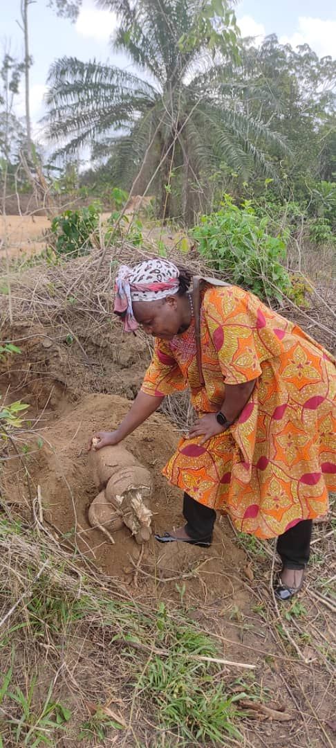 Sylvie Jacqueline Ndongmo tweet media