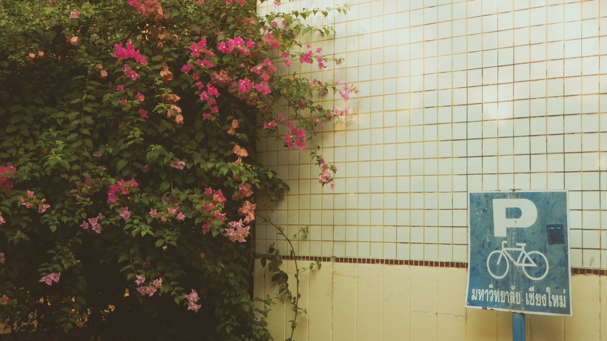 _themamara's tweet image. 