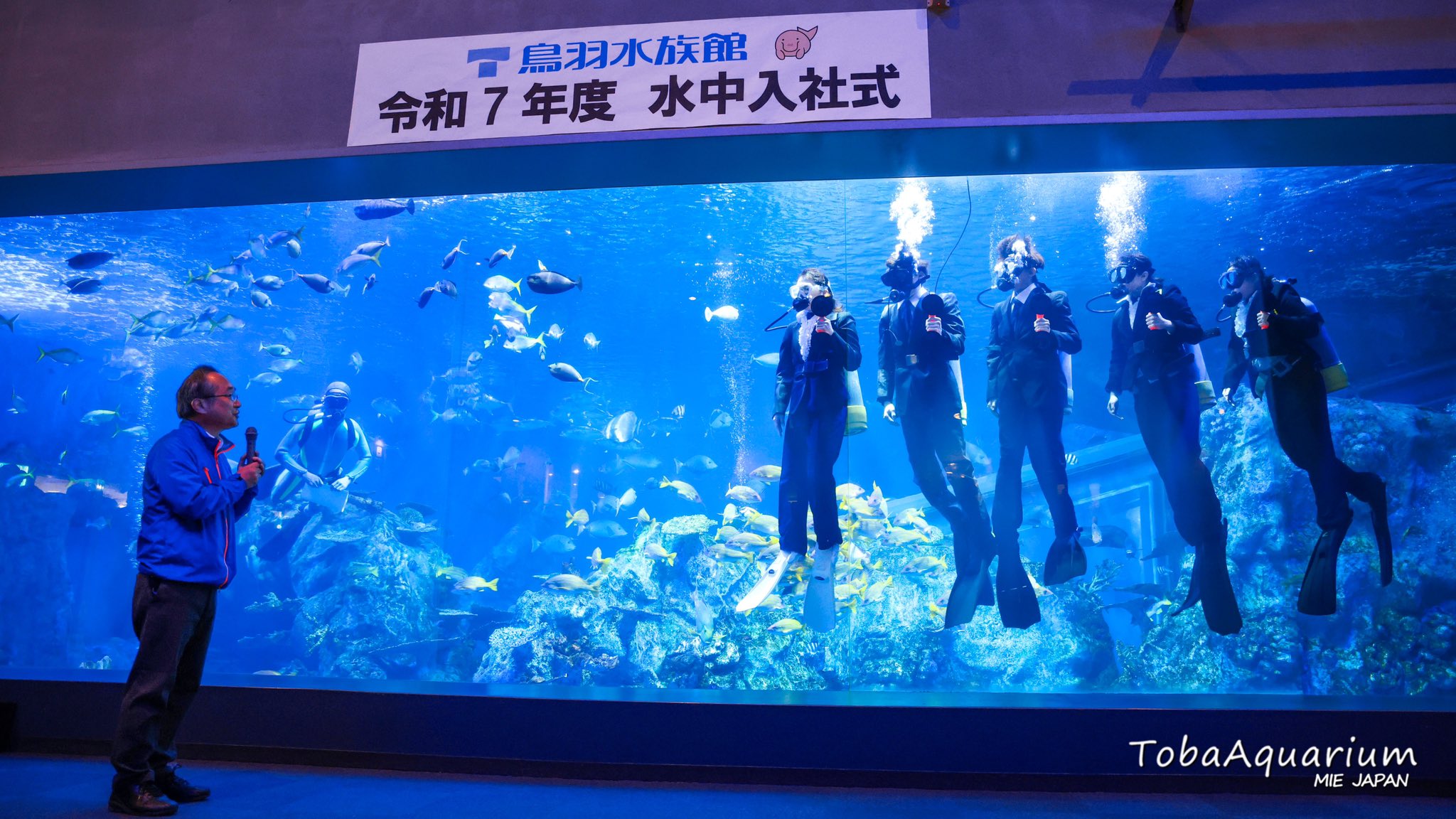 鳥羽水族館 ウォールポケットTOBA AQUARIUM 鳥羽水族館 ウォールポケットTOBA AQUARIUM Amazon.co.jp: 鳥羽