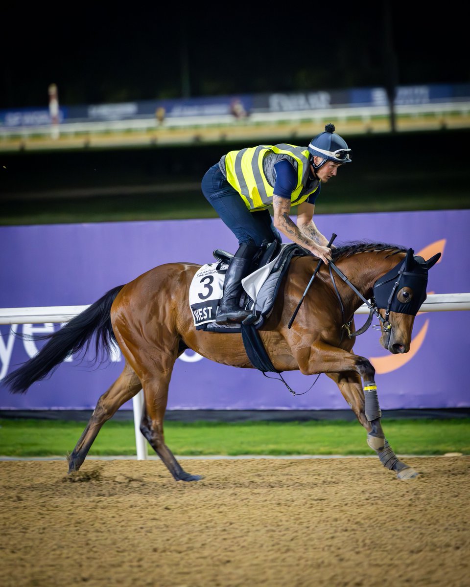 Goffs Middle East (@goffsmiddleeast) on Twitter photo WEST ACRE under the lights in Dubai 💡
<a href="/GScottracing/">George Scott</a>'s 3yo runs in the G1 Al Quoz Sprint <a href="/RacingDubai/">Dubai Racing Club</a> on Saturday.
The son of Mehmas was a #GoffsPremier purchase by Alex Elliott and <a href="/JSBLOODSTOCK/">Billy Jackson Stops</a>
📸 @racingdubai l #Goffsgrads WEST ACRE under the lights in Dubai 💡
<a href="/GScottracing/">George Scott</a>'s 3yo runs in the G1 Al Quoz Sprint <a href="/RacingDubai/">Dubai Racing Club</a> on Saturday.
The son of Mehmas was a #GoffsPremier purchase by Alex Elliott and <a href="/JSBLOODSTOCK/">Billy Jackson Stops</a>
📸 @racingdubai l #Goffsgrads