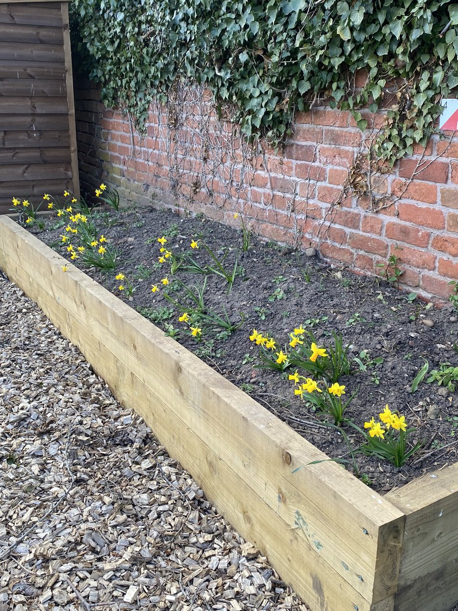 St Michaels Primary tweet media