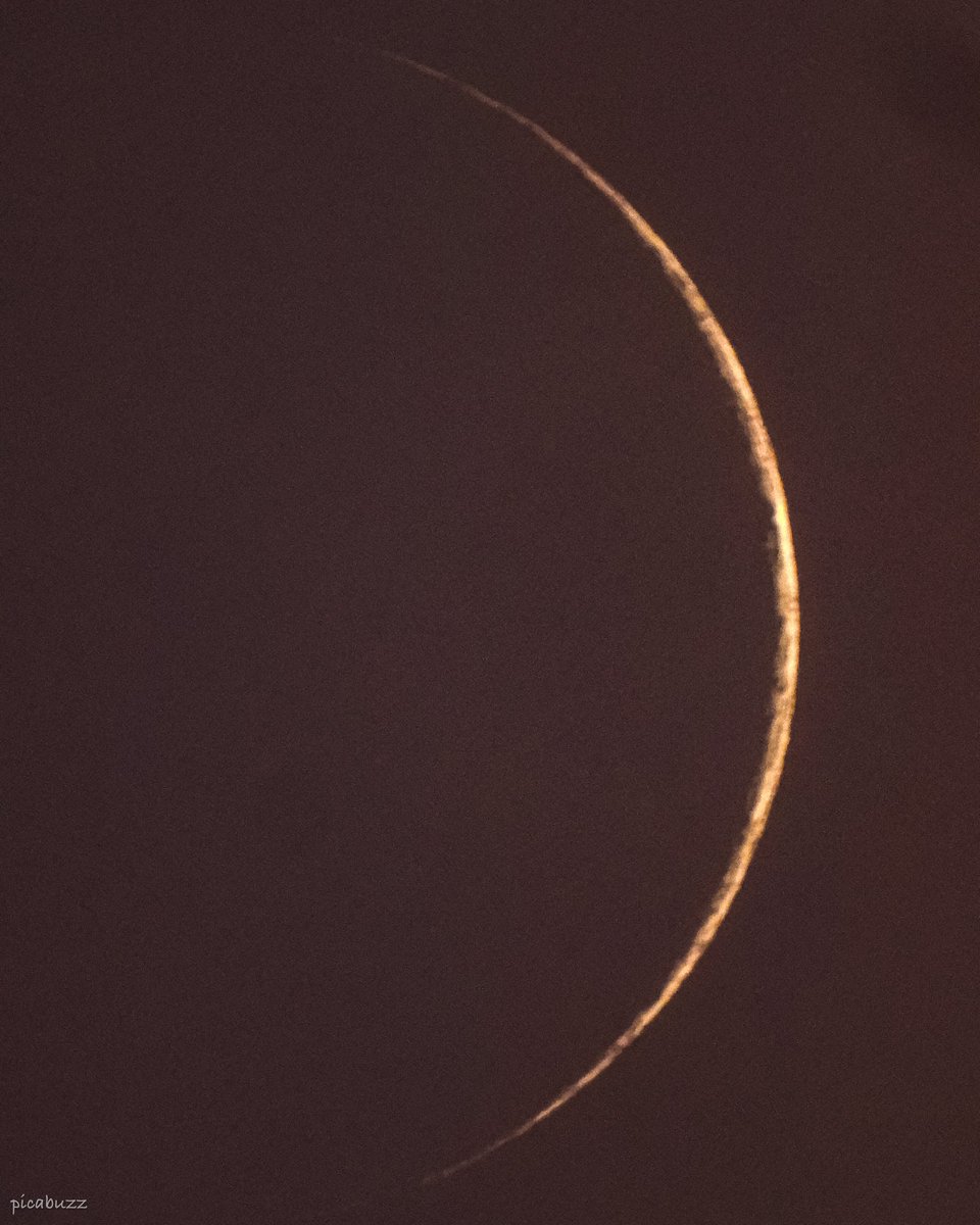 picabuzz's tweet image. Nothing is more beautiful than sighting moon of Day 1 #EidMubarak