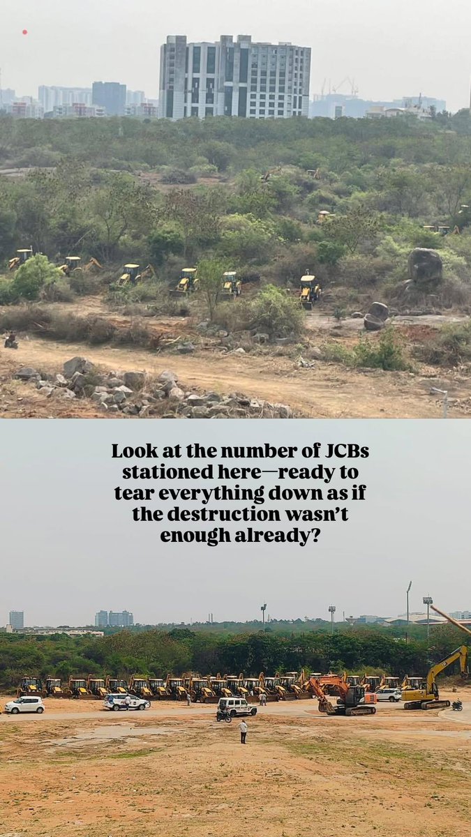 Licypriya Kangujam (@licypriyak) on Twitter photo Meanwhile in Hyderabad! Government sent dozens of bulldozer to clear University of Hyderabad reserve forest area of 400 acres. Stop this nonsense immediately <a href="/TelanganaCMO/">Telangana CMO</a> <a href="/revanth_anumula/">Revanth Reddy</a>.
I stand with the students and people of Hyderabad. 🙏 Meanwhile in Hyderabad! Government sent dozens of bulldozer to clear University of Hyderabad reserve forest area of 400 acres. Stop this nonsense immediately <a href="/TelanganaCMO/">Telangana CMO</a> <a href="/revanth_anumula/">Revanth Reddy</a>.
I stand with the students and people of Hyderabad. 🙏