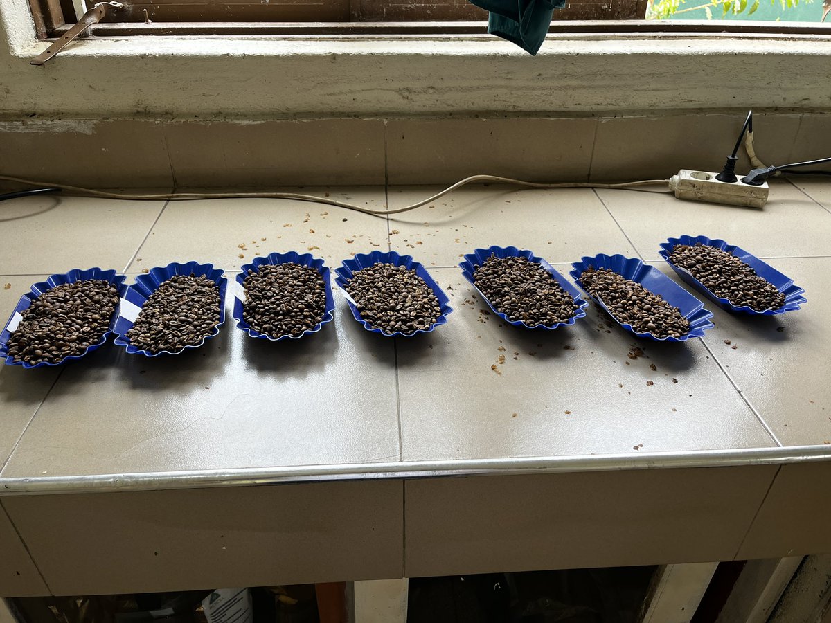 BocuOrg's tweet photo. Any time, any day pass by with your samples and we do the needful, much more better if you can and we compare notes to enhance our skillz. In kinyamaseke Town Council is where we hail from on the foot steps of Rwenzori. Our slogan is "we care for our coffee family" https://t.co/AVxoqdVwqP