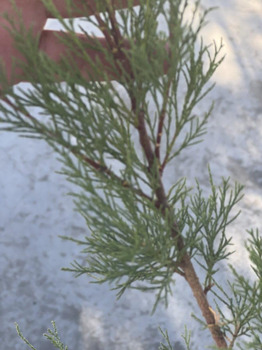 محمد اليزيدي (@muha1400) on Twitter photo 