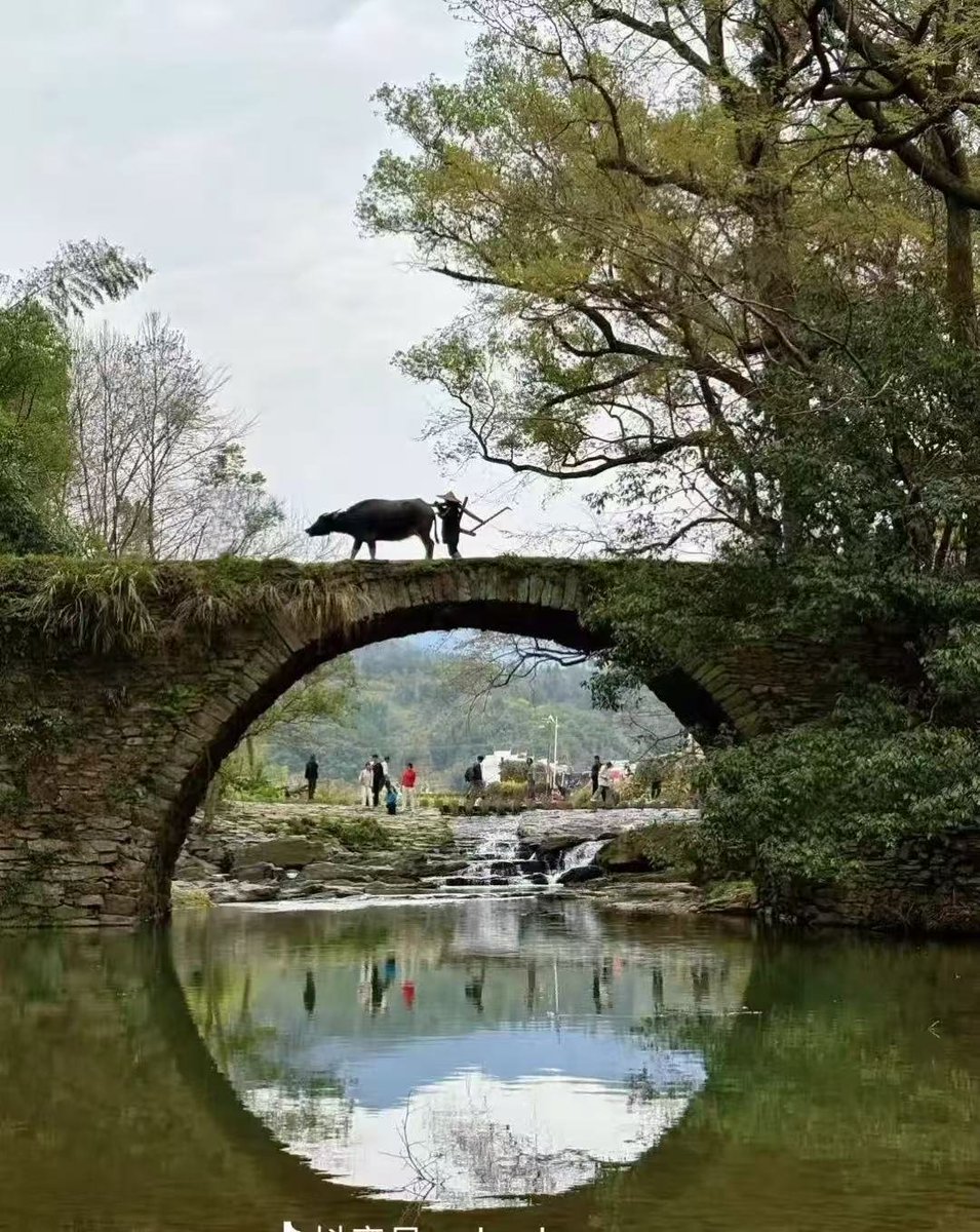 duoduo45678's tweet photo. 一直很喜欢徽派建筑。感觉自己精神上是个徽州人。这个春天去了别样的婺源 https://t.co/0WMEEVnLTk