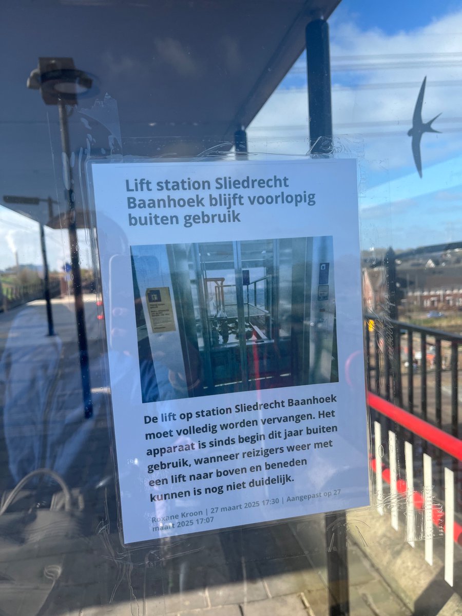 michelle tweet media