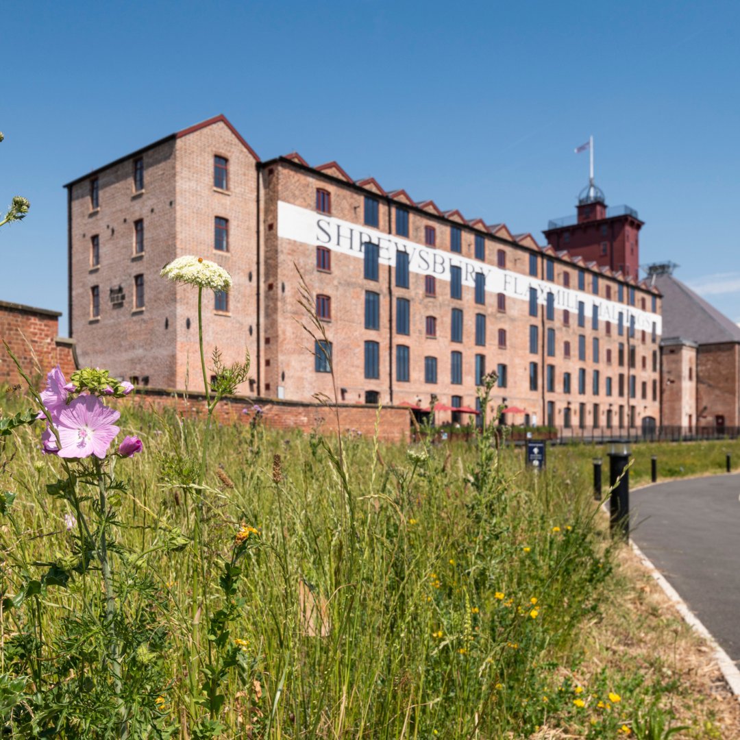 We’re looking for Shrewsbury Flaxmill Maltings’ missing bell 🔍

Thought to have been lost in the 1980s or 1990s, the bell was a key part of the site's history, marking the start and end of nearly 200 years of factory toil. Can you help us find it?

📍 Opening 1 April