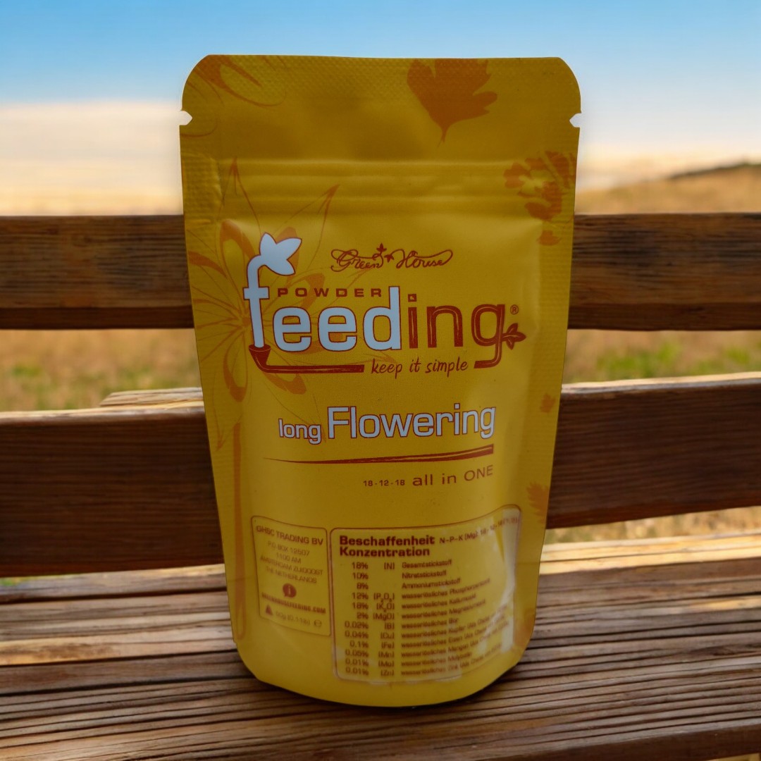 HANFTOPIA tweet media