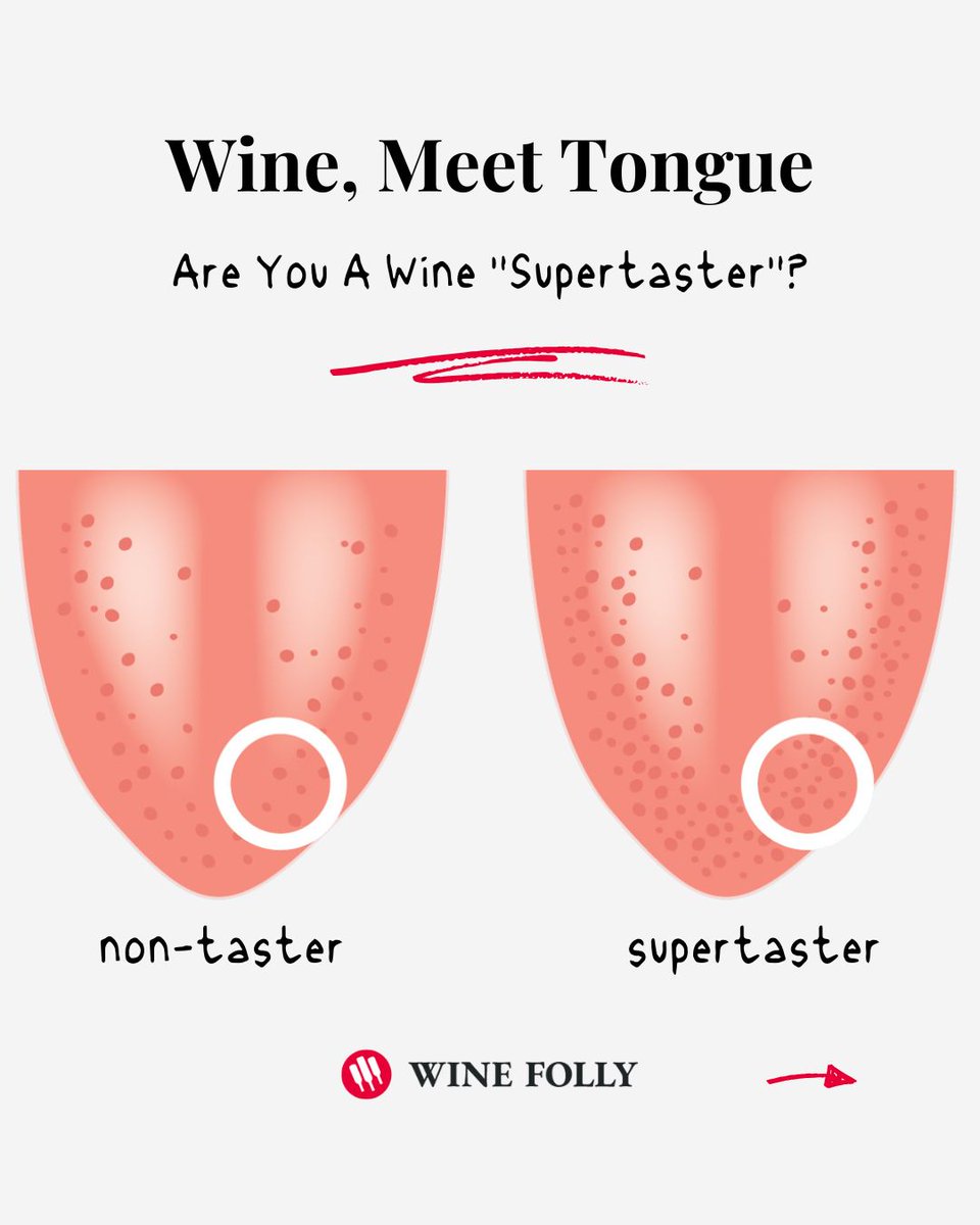 WineFolly's tweet photo. 🔬 What’s a Supertaster? A supertaster has 30+ taste buds in a space the size of a hole punch on their tongue. This makes everything—from wine to food—taste way more intense!
🎯 https://t.co/jJ67G14SrU
#Supertaster #TasteTest #WineEducation #WineTasting https://t.co/vrjPnhArMR