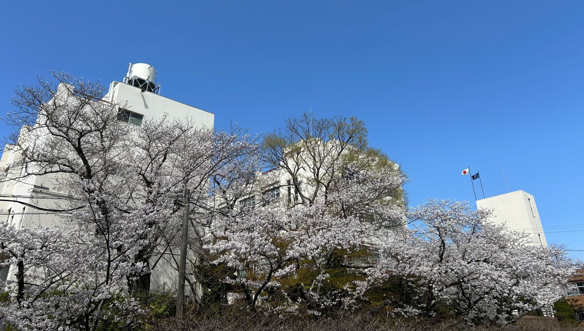 令和7年度近畿大学九州短期大学入学式を、次のとおり挙行いたします😄

第60回入学式
日時　令和7年4月2日（水）　午前10時開式
場所　本学体育館
HP　　kjc.kindai.ac.jp
🌸🌸🌸🌸🌸🌸🌸

#入学式
#近畿大学九州短期大学
#生活福祉情報科
#保育科
#通信教育部保育科
#近大福岡
#KINDAI
#飯塚市