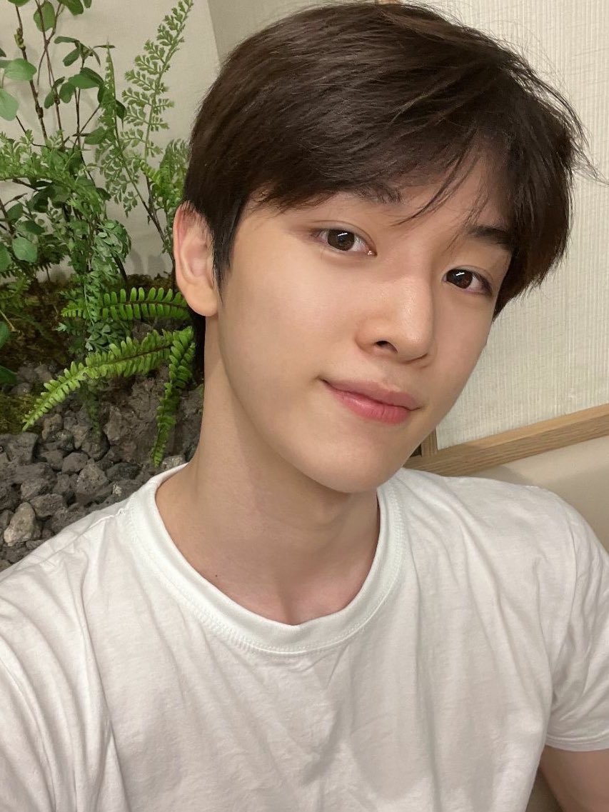 태기 tweet media