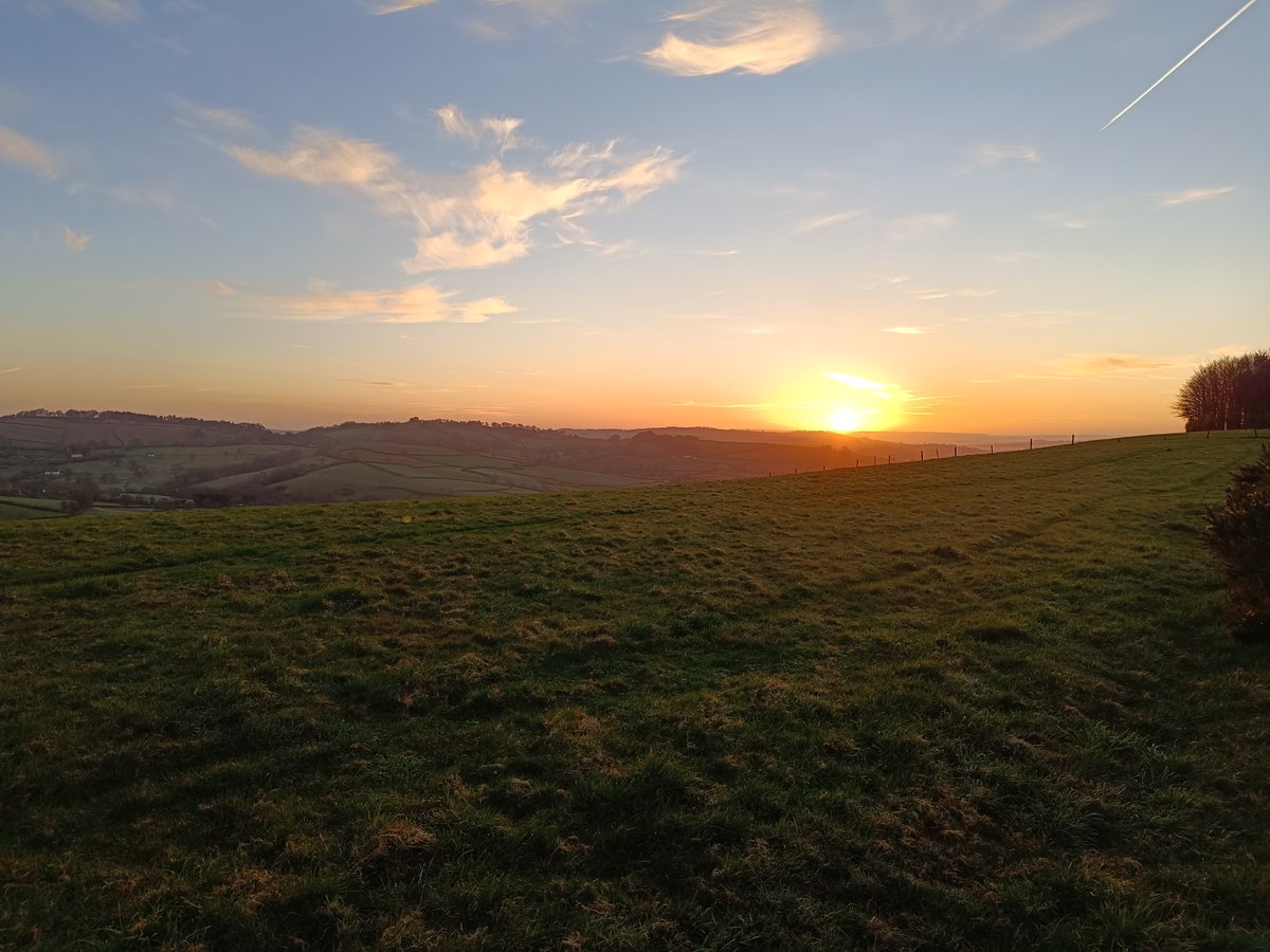 Mid Devon sunrise this morning. Some nature 🌳and now some grant-writing - it can be done sometimes! (not always)🙂.