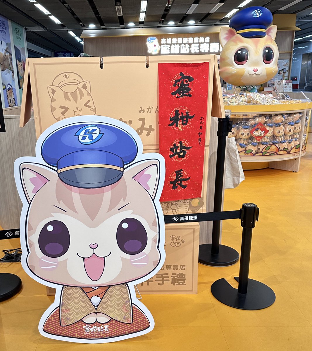 月半。 tweet media