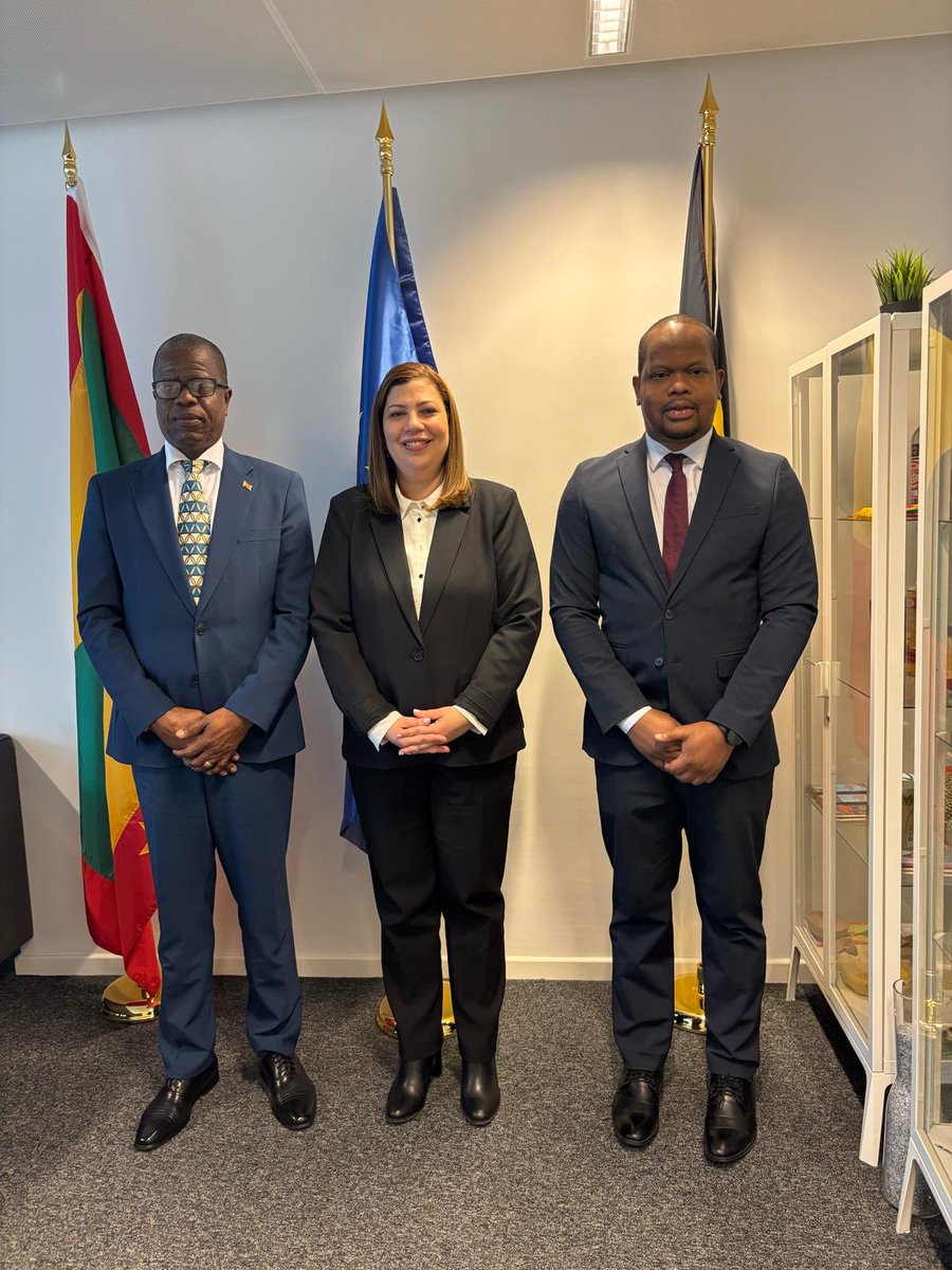 La Embajadora Joan Cedano visitó al Embajador de Granada, Sr. Joseph Raphael, en Bruselas. Conversaron sobre los lazos culturales y posibles colaboraciones en el marco UE-Caribe. 🇩🇴🤝🇬🇩

#RDenBélgica #CooperaciónInternacional