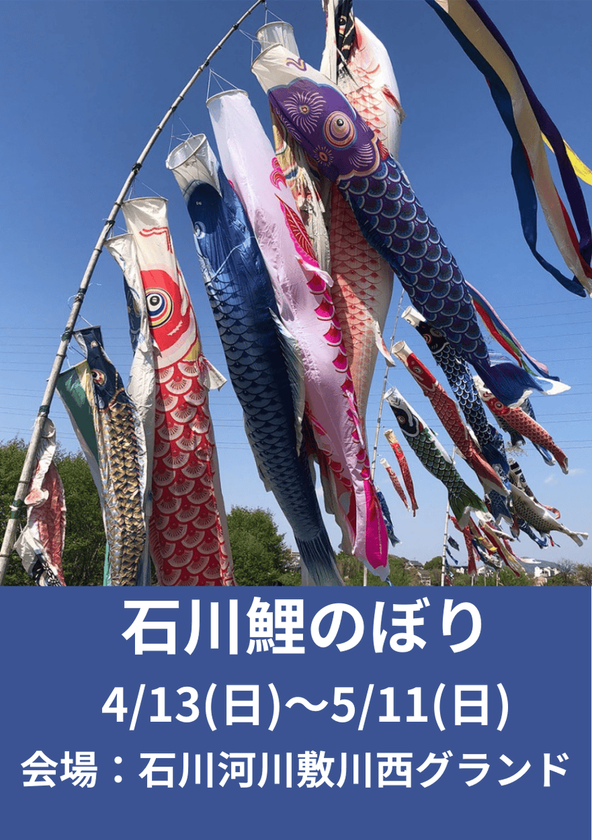 石川に鯉のぼりがあがります
日程　2025年4月13日(日)～5月11日(日)

会場　石川河川敷川西グランド

※一緒に鯉のぼりをあげていただけるボランティアを募集しています。
　参加いただける方は、4月13日(日)午前10時に会場へお集まりください。