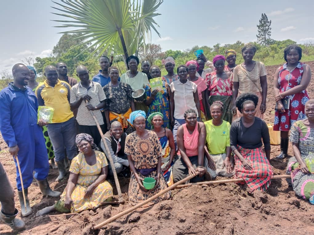 uwonet's tweet photo. All these efforts are part of establishing a demonstration farm aimed at transferring knowledge on best agronomic practices to other farmers. 

The farm will serve as a practical learning space for women farmers, helping them adopt improved post-harvest handling techniques, value addition. 

Ultimately, this initiative seeks to enhance food security and increase women's income at the group level, empowering them economically and strengthening their role in agriculture.
@giz_uganda @ADCinUganda @H3000EastAfrica @MAAIF_Uganda @Mglsd_UG