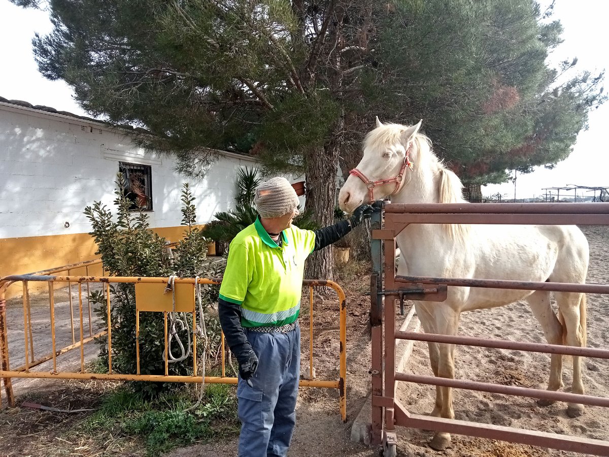 funCADISLA's tweet photo. Fundación Cadisla ha vuelto a conseguir el apoyo de @fmapfre  para seguir trabajando por la inserción laboral de las personas con discapacidad y/o trastorno mental grave y crónico en 2025.

#LaRecompensaEmocional #JuntosSomosCapaces #fundacioncadisla #insercionlaboral https://t.co/G3ejxRg8ko